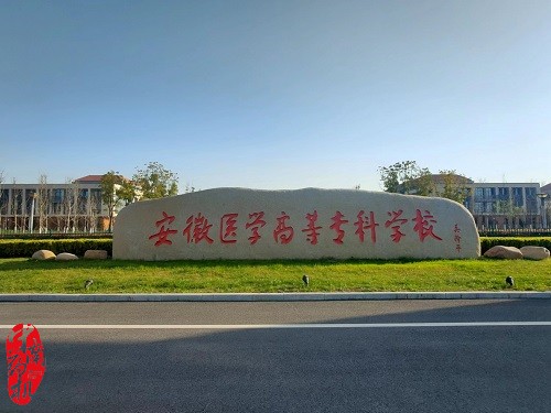 中南藥機︰安徽醫(yī)學高等?？茖W校 “1+X”藥物制劑生產(chǎn)職業(yè)技能設(shè)備安裝調(diào)試