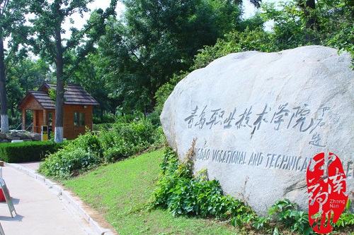 中南藥機｜“1+X”藥物制劑設(shè)備安裝調(diào)試：青島職業(yè)技術(shù)學(xué)院